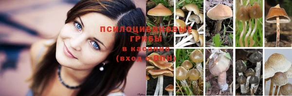 эйфоретик Абдулино