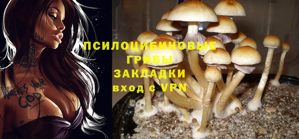 дмт Абаза