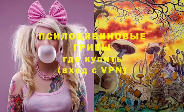дмт Абаза