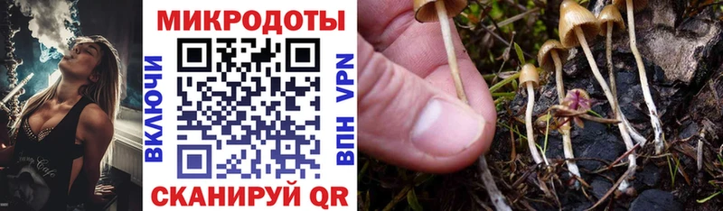 Псилоцибиновые грибы мухоморы  где можно купить   Терек 